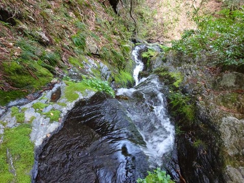 DSC03605