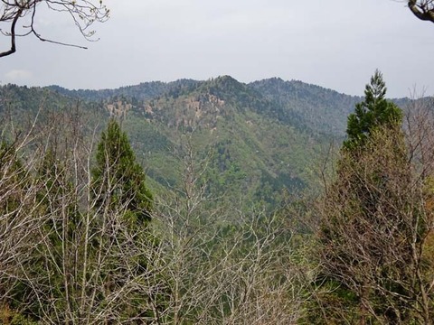 DSC03640