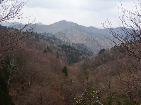 DSC05154