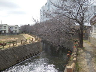 DSCN2672