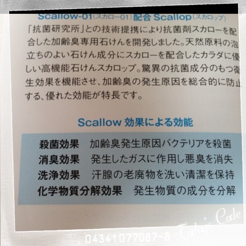 写真 2013-06-30 15 23 41