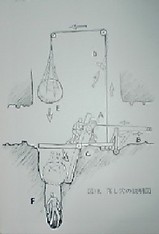 55bab005.jpg
