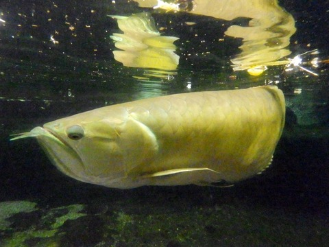 生物園084
