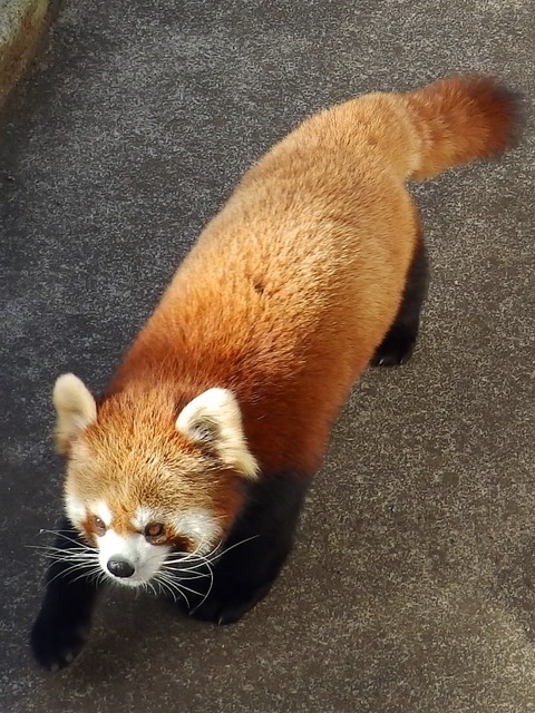 大島公園C