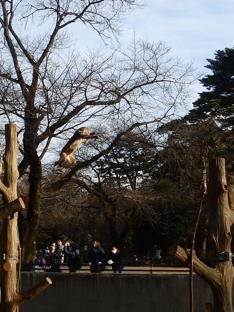 井の頭8