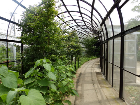 生物園204