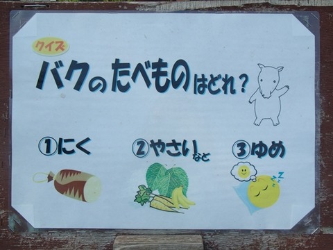 金沢動05