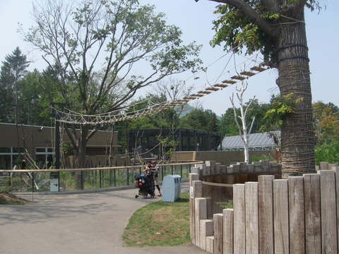 円山6