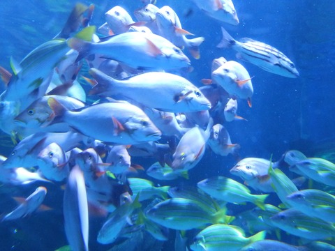 しな水3