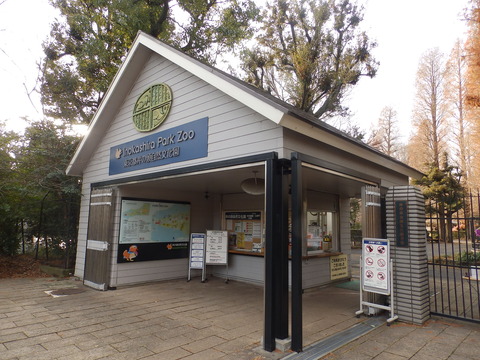 井の頭1