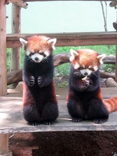 千葉市動物公園_06