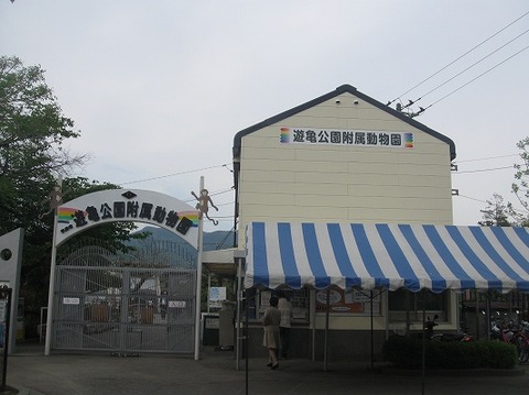 遊亀0