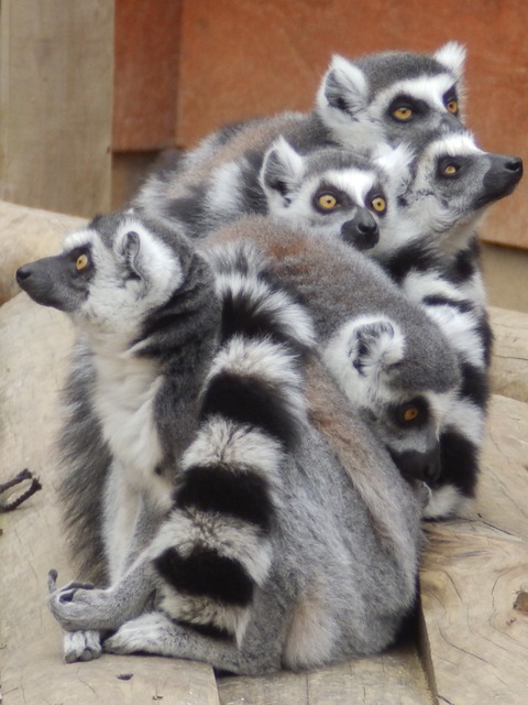 埼玉県こども動物自然公園3