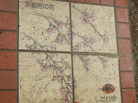 日本列島12