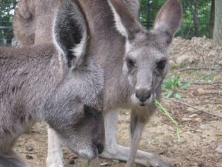 IMG_1000_R