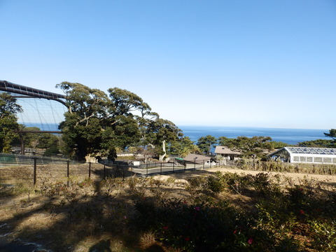 大島公園D