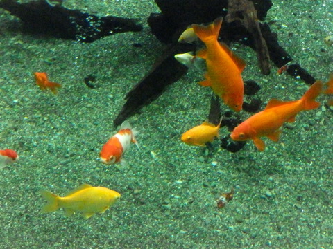 生物園015