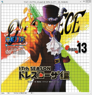 ワンピース ドレスローザ編_13_S10