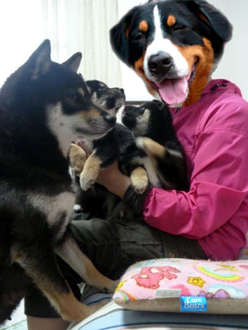 jpgb