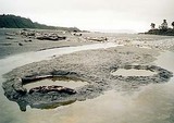 Wanganui_River