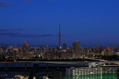 夜明けの東京スカイツリー