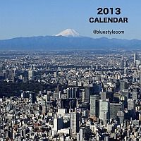 2013��������