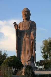 5f7f2d32-s.JPG