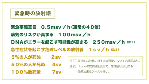 シーベルト解説3