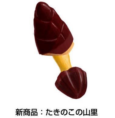 WS000028