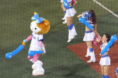 DSCF3534