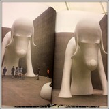 FullSizeRender111