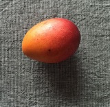 FullSizeRender2