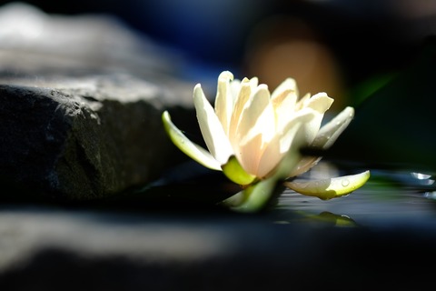 DSCF9626_R