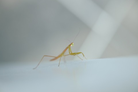 DSCF9704_R