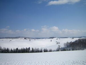 h01