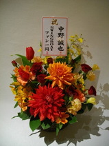 IMGP3539