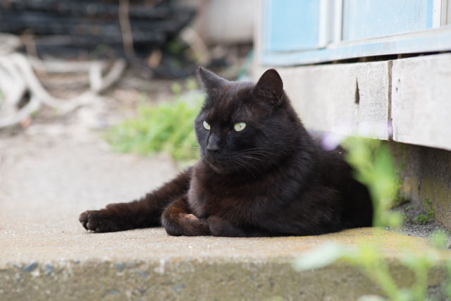 DSC_2780