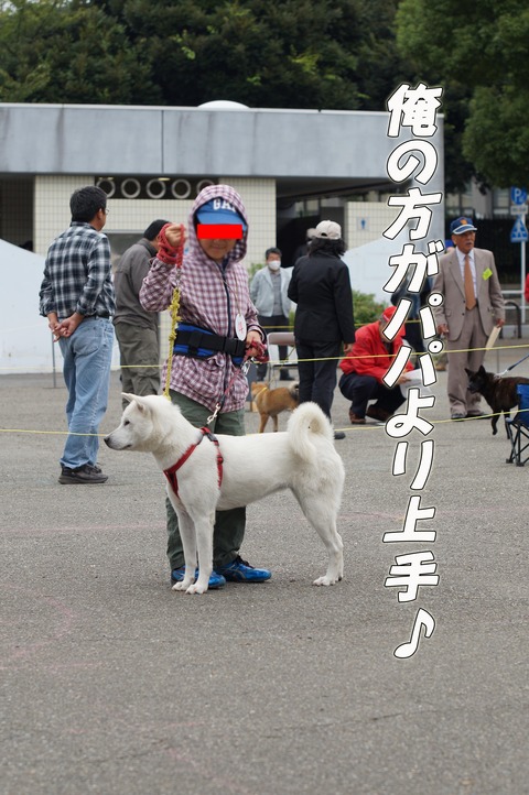 DSC03310