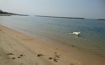 _20170623_105809