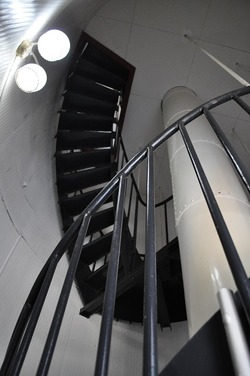 91955127