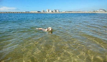 _20170804_110647