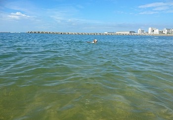 _20180812_131823