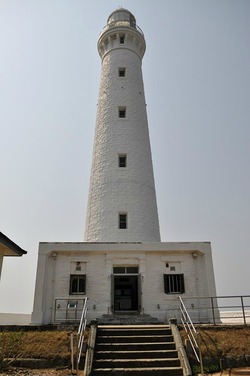 91955123