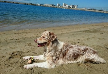 _20170804_110716