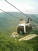 Ȣ��
