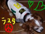 body_co-rastarobin1