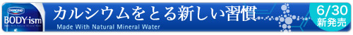�ܥǥ�������