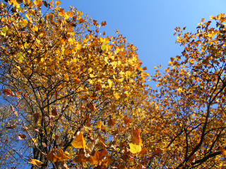 BLOG6670
