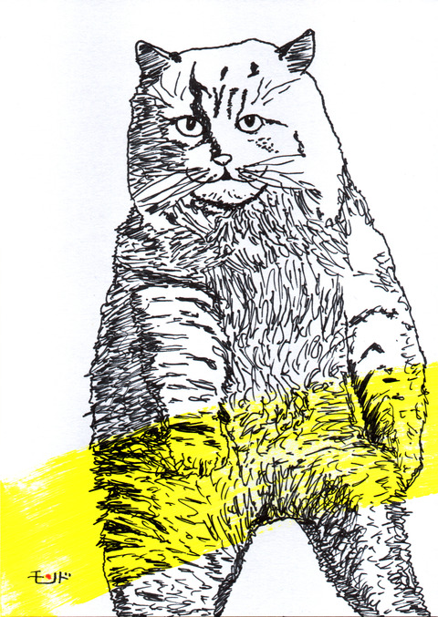 大きなねこ