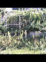 aac593c2.jpg